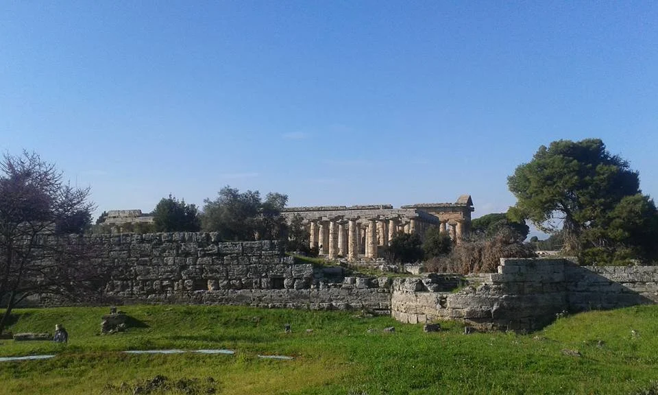 zuchtriegel paestum