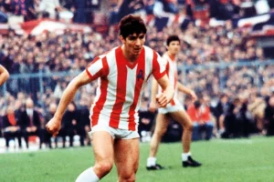rossigol