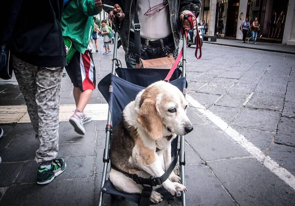 Napoli Senza Filtri