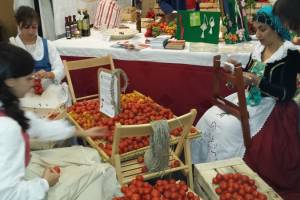 La festa del non lavoro nella Regione che spreca 55 milioni di euro per la Terra dei fuochi item-thumbnail