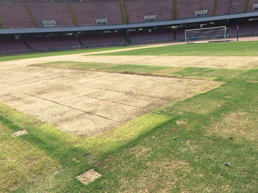 L’agronomo della Lega: «San Paolo, rovinato un terreno meraviglioso: chi rompe deve pagare» L’agronomo della Lega: «San Paolo, rovinato un terreno meraviglioso: chi rompe deve pagare»