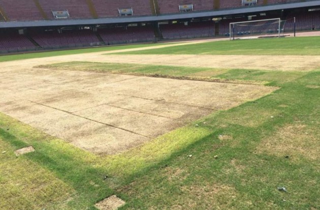 L’agronomo della Lega dopo la visita al San Paolo: «Buttati via tre anni di lavoro»