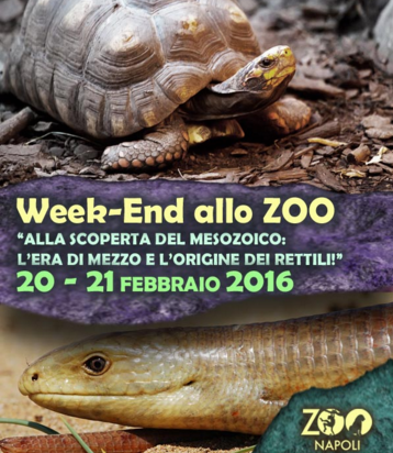 Agenda Napolista/ Alla scoperta dei rettili allo Zoo. Appuntamento in  villa Comunale per la Fiera antiquaria