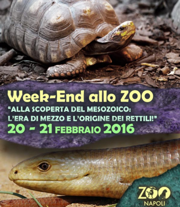 Agenda Napolista/ Alla scoperta dei rettili allo Zoo. Appuntamento in villa Comunale per la Fiera antiquaria Agenda Napolista/ Alla scoperta dei rettili allo Zoo. Appuntamento in villa Comunale per la Fiera antiquaria