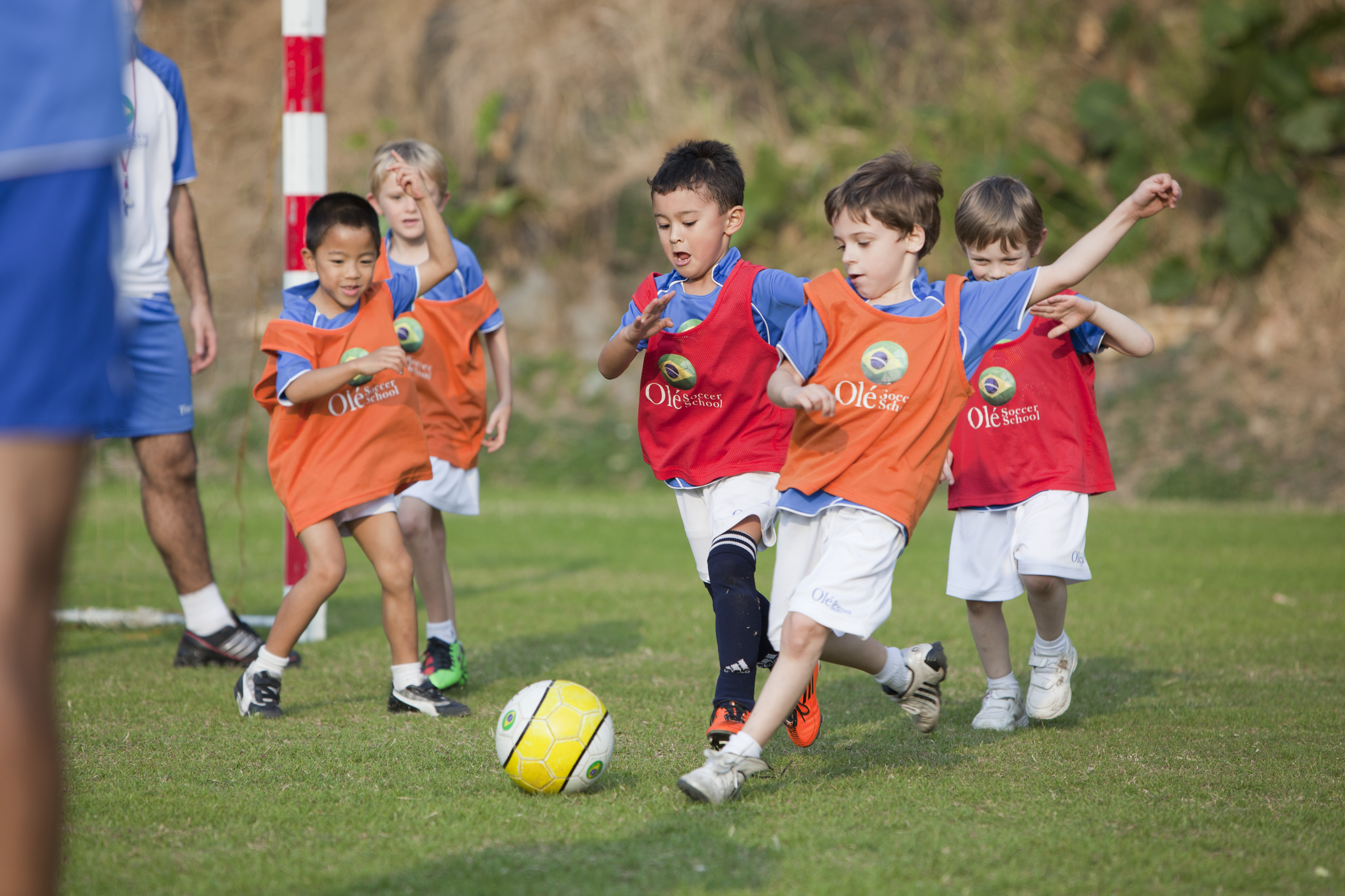 Che il calcio sia la felicità dei ragazzini e non la speranza dei genitori