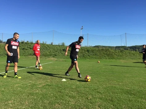 Albiol
