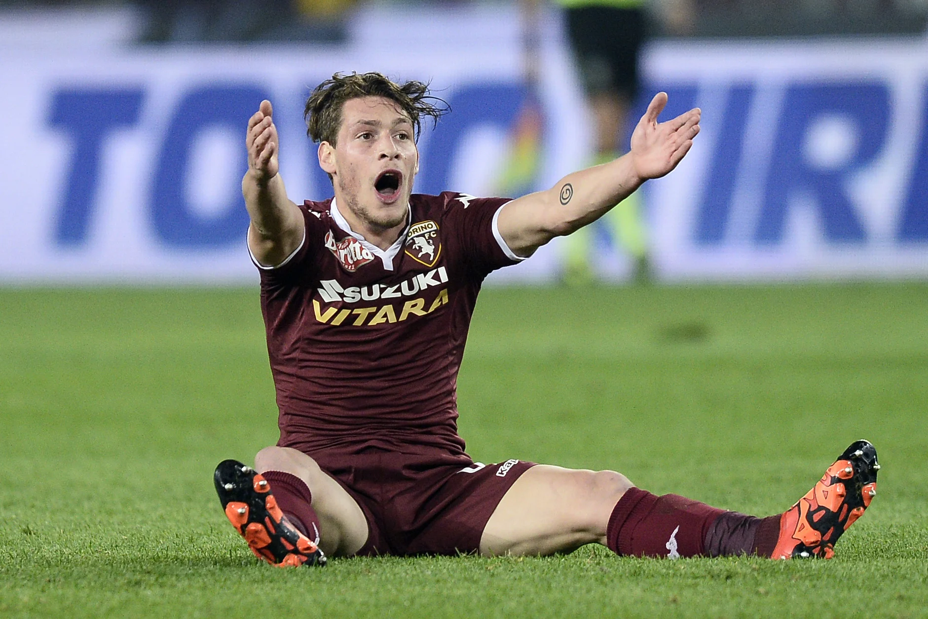 Torino Belotti