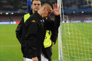 Hamsik