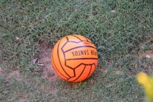 Super Santos