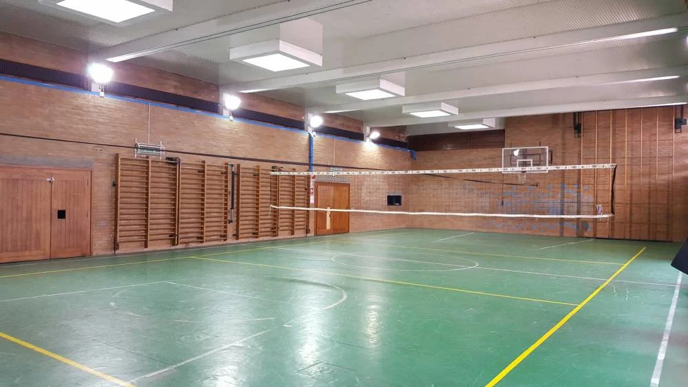 maestro educazione fisica
