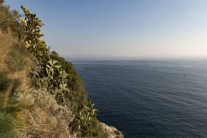 Giornate Fai Primavera