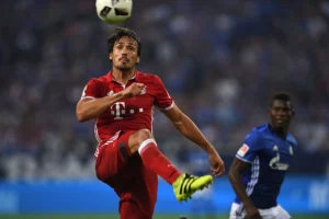 Hummels