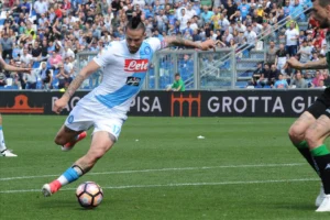 Hamsik