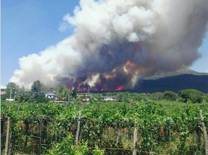 Fermato il (presunto) piromane del Vesuvio, o un (presunto) piromane del Vesuvio?