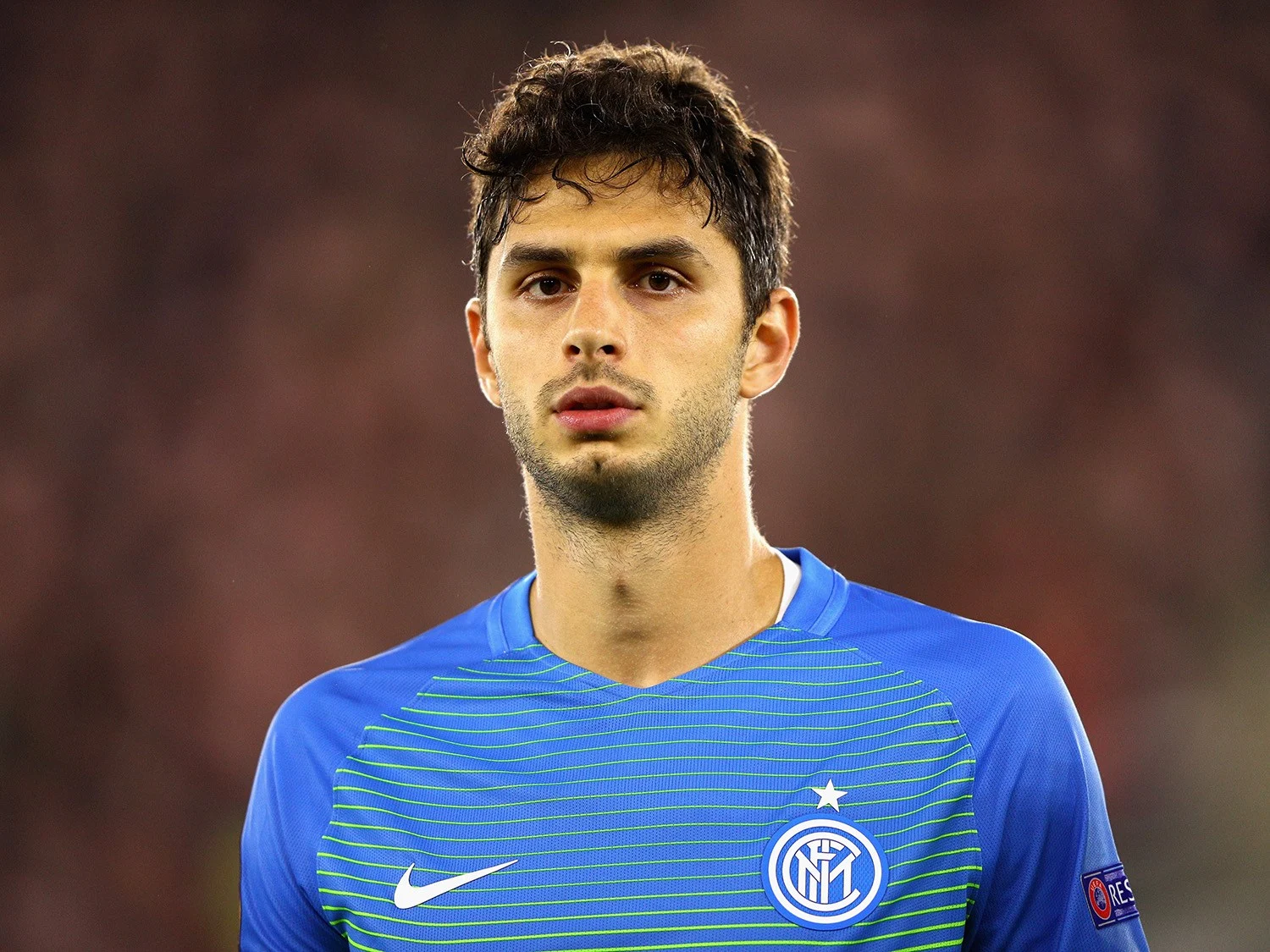 ranocchia