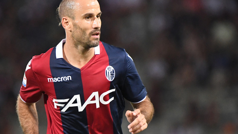 Donadoni pensa a un Bologna 4-2-3-1 con Palacio e Destro, ma teme di ripetere l’Italia contro la Spagna Donadoni pensa a un Bologna 4-2-3-1 con Palacio e Destro, ma teme di ripetere l’Italia contro la Spagna