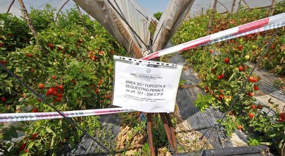 Terra dei fuochi: il disastro ambientale non c’è, c’è il capro espiatorio