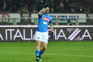 Hamsik