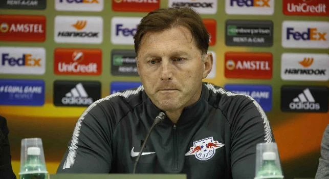 Hasenhüttl conferenza napoli-lipsia