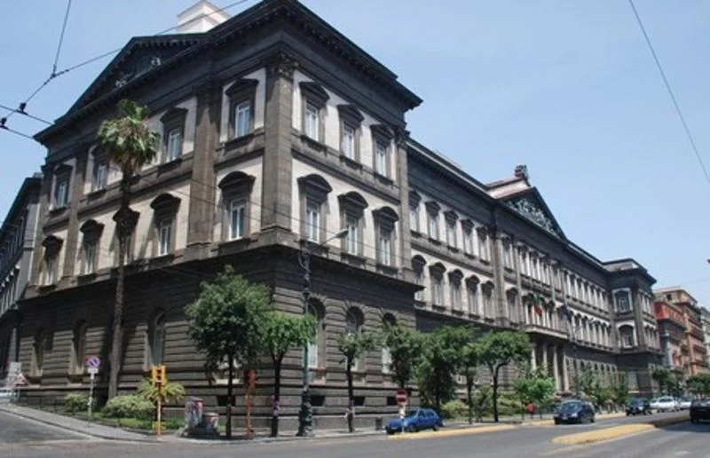 università
