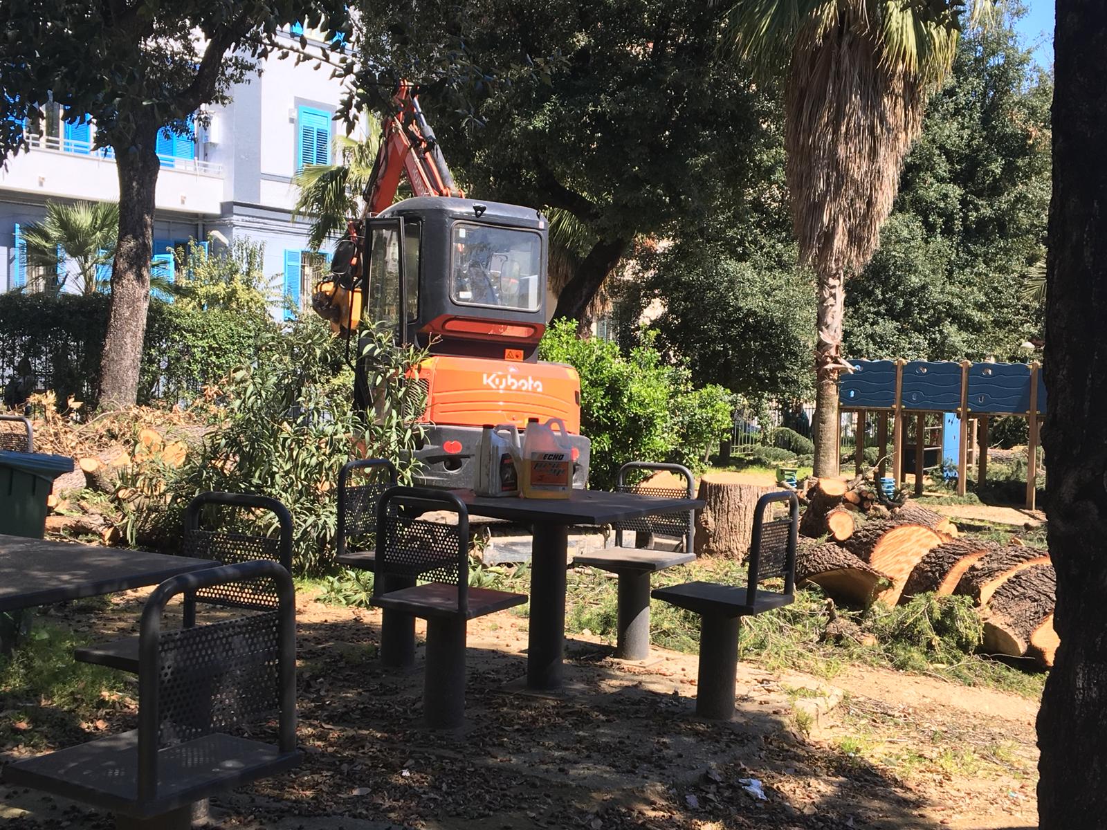 Tra sette giorni riapre al Vomero il Parco Mascagna, polemiche per otto alberi abbattuti