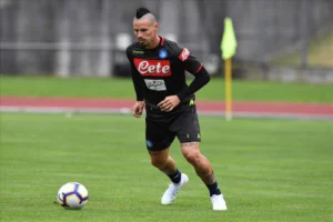 Hamsik