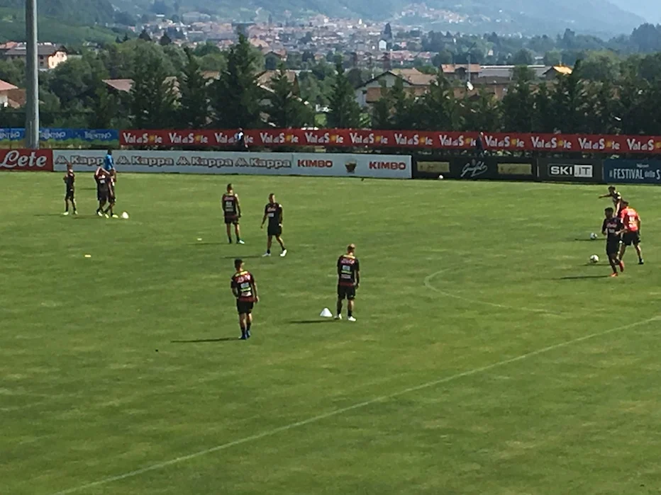 Hamsik