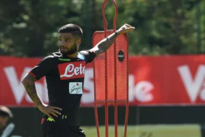 Insigne