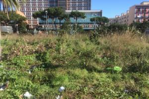 A Fuorigrotta cittadini in azione per la cura di Piazzale Tecchio item-thumbnail
