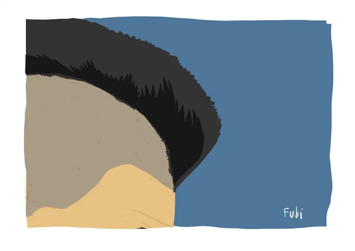 Hamsik