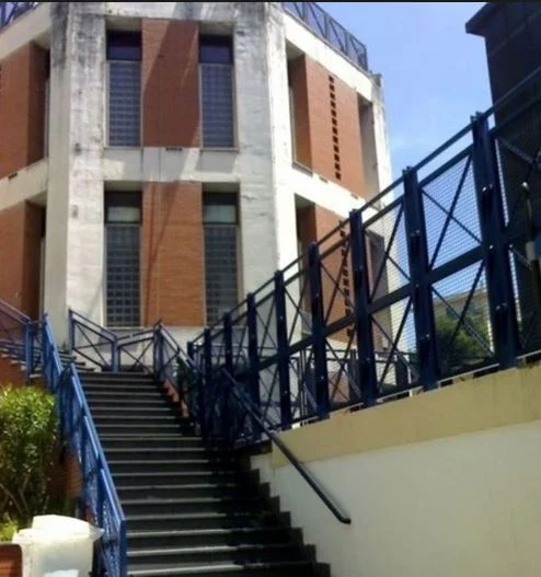 V municipalità