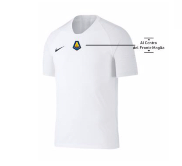 I migliori calciatori 2018/19 potranno apporre sulla maglia il fregio ufficiale I migliori calciatori 2018/19 potranno apporre sulla maglia il fregio ufficiale