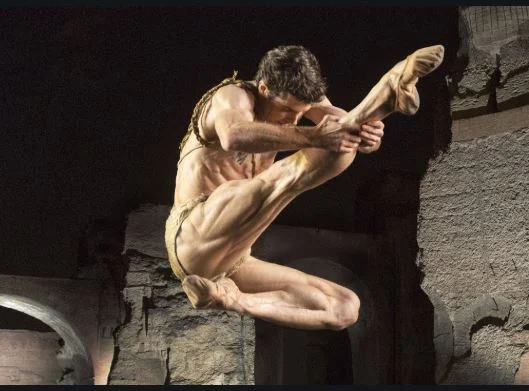 roberto bolle