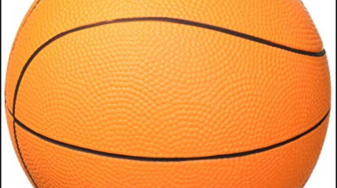 Il Napoli Basket comincia perdendo in casa contro Latina (80-85) Il Napoli Basket comincia perdendo in casa contro Latina (80-85)