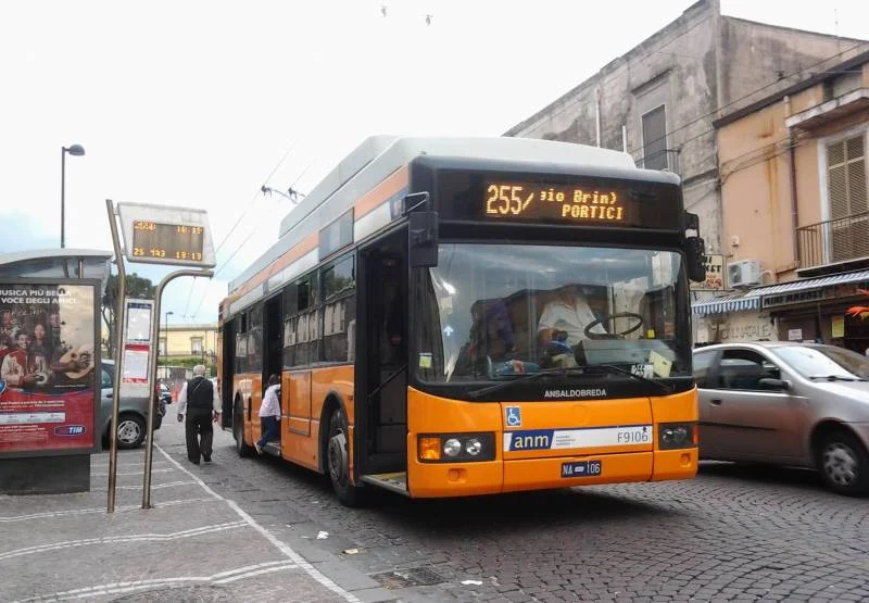 bus