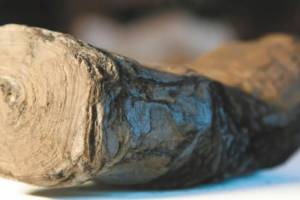 Il Giornale: raggi X e un super algoritmo per leggere i papiri di Pompei e Ercolano item-thumbnail