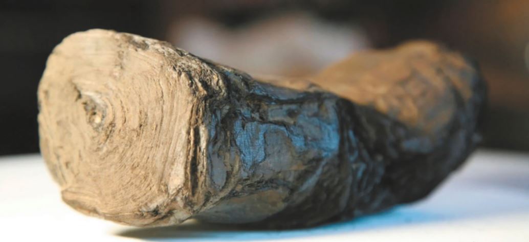 Il Giornale: raggi X e un super algoritmo per leggere i papiri di Pompei e Ercolano Il Giornale: raggi X e un super algoritmo per leggere i papiri di Pompei e Ercolano