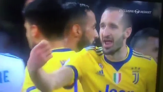 enciclopedia Chiellini