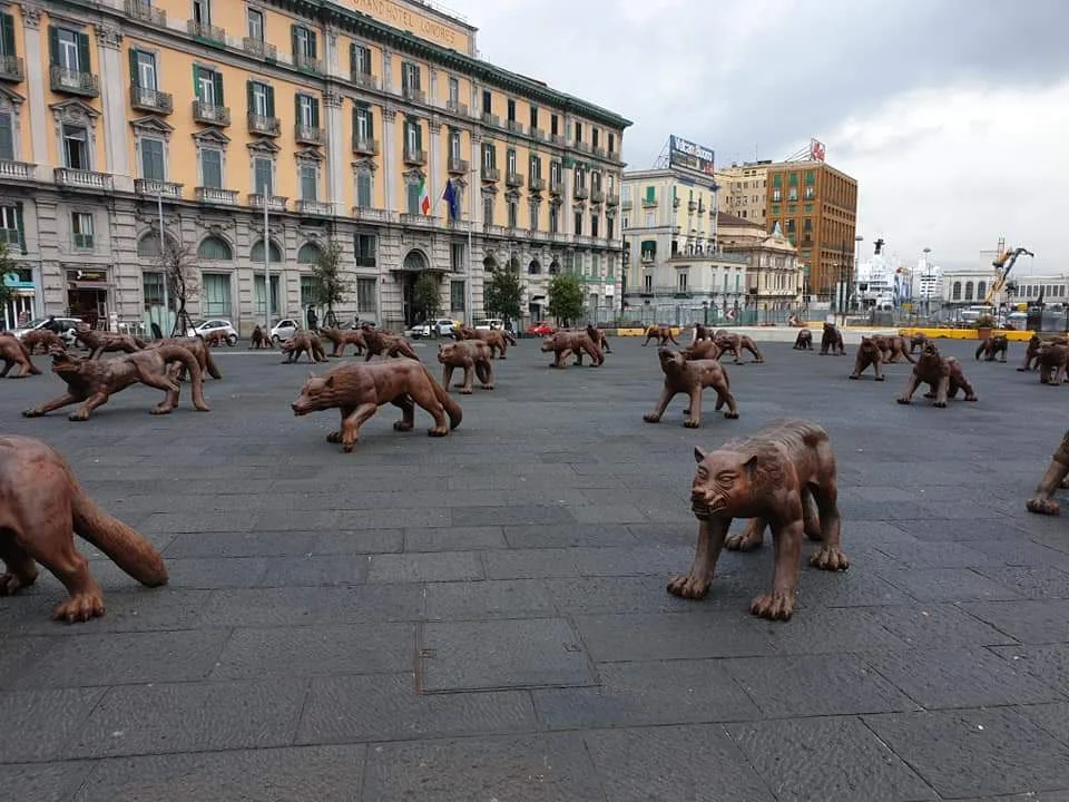 wolves coming