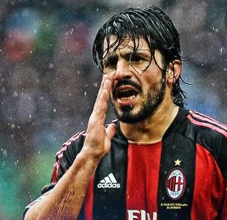 bacconi