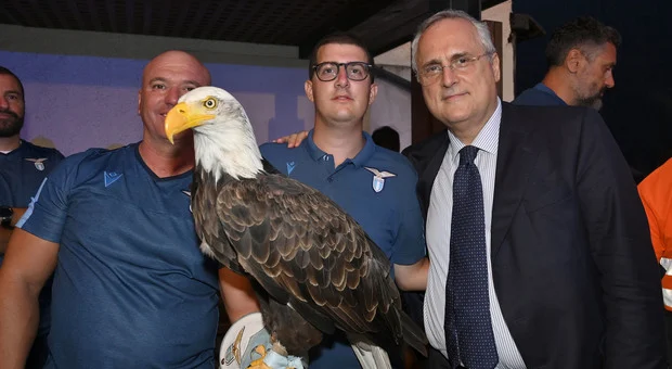 Lotito