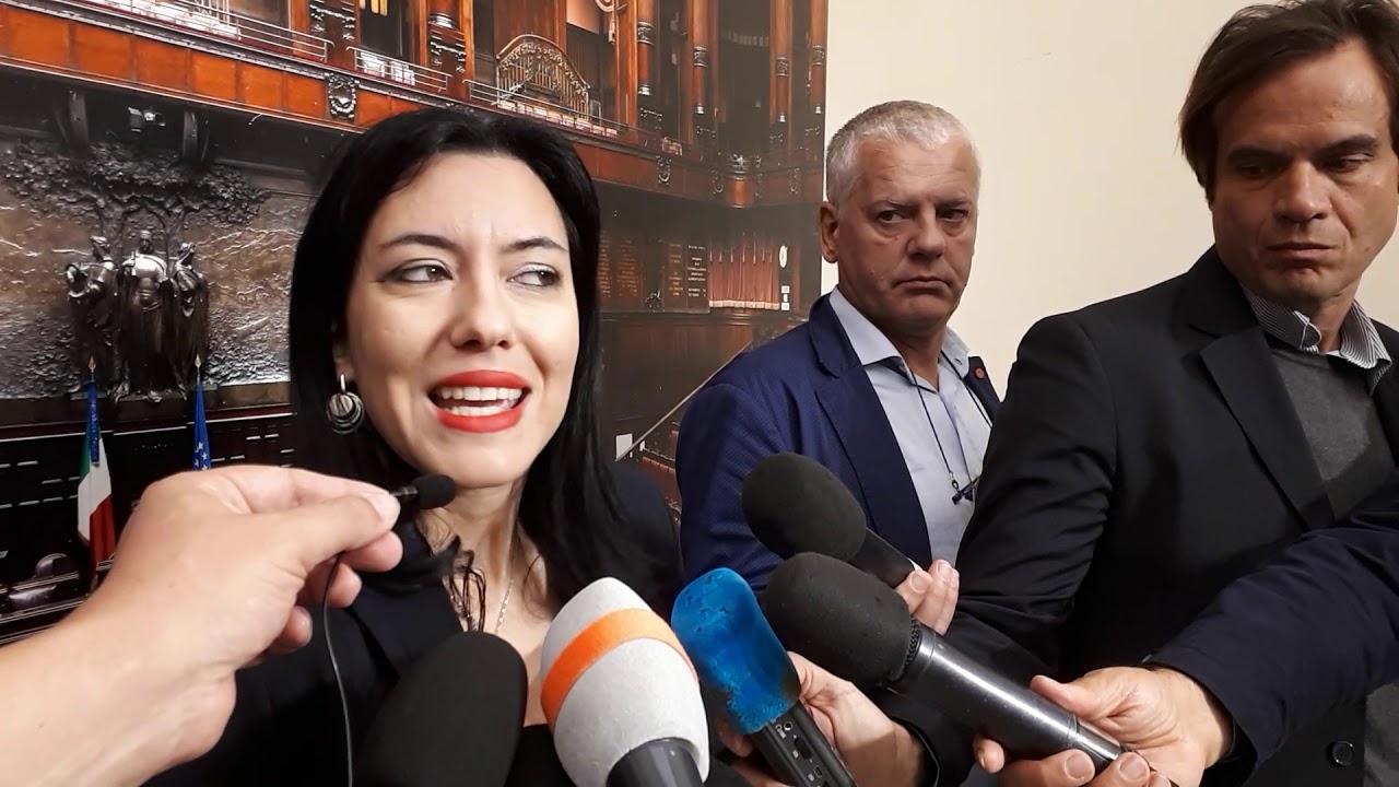 Azzolina: «La Dad non può funzionare più. C’è un black out della socialità» Azzolina: «La Dad non può funzionare più. C’è un black out della socialità»