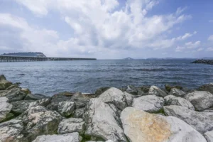 assessore al mare
