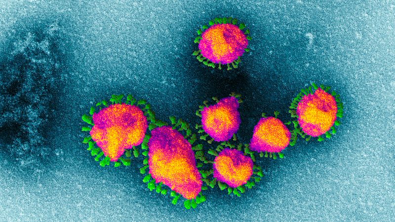 Quanto resiste il coronavirus sulle diverse superfici