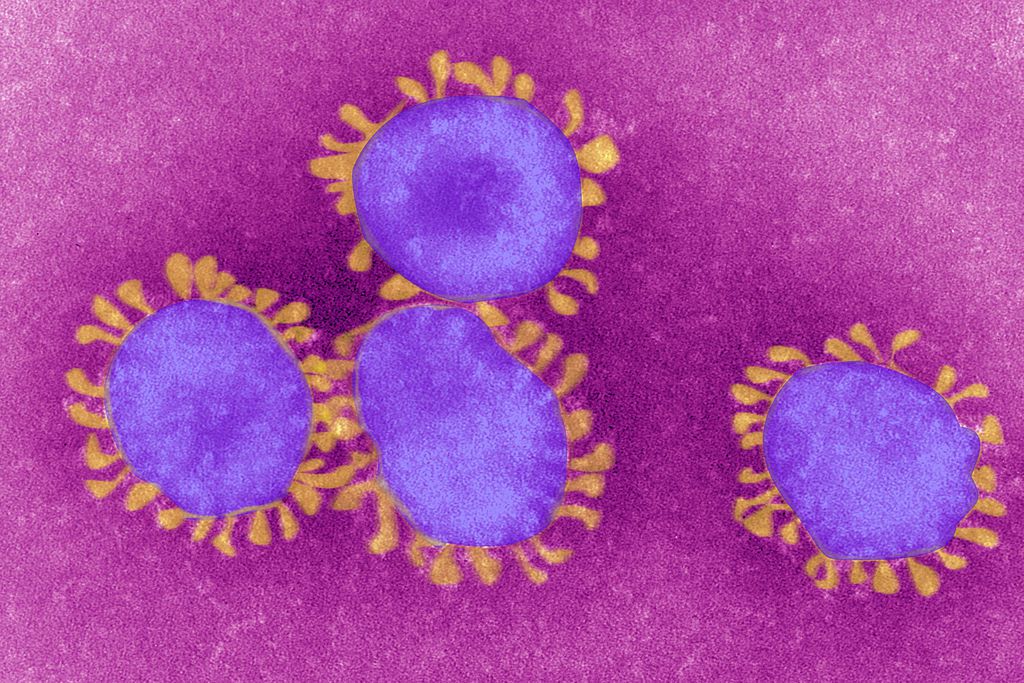 Coronavirus, resiste 7 giorni sulle mascherine e 1 sui vestiti