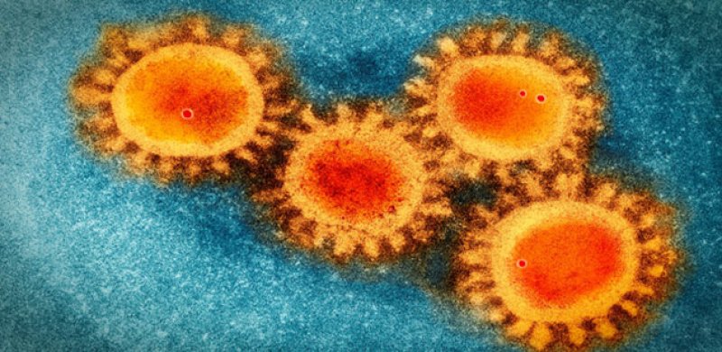 Coronavirus, ci sono individui che non si ammalano anche se convivono con un positivo