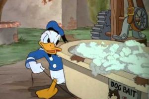Corriere: i presidenti litigano come Paperino e Anacleto Mitraglia per i confini del giardino a Paperopoli item-thumbnail
