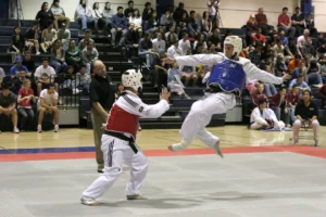 taekwondo