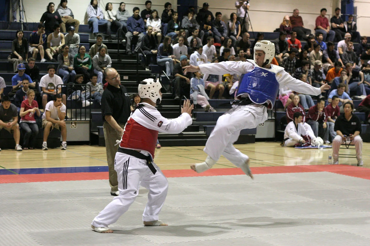 Grande successo per i tornei online di Taekwondo