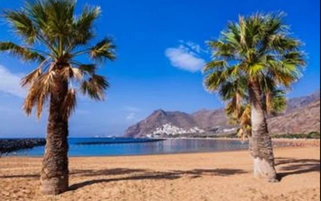 canarie